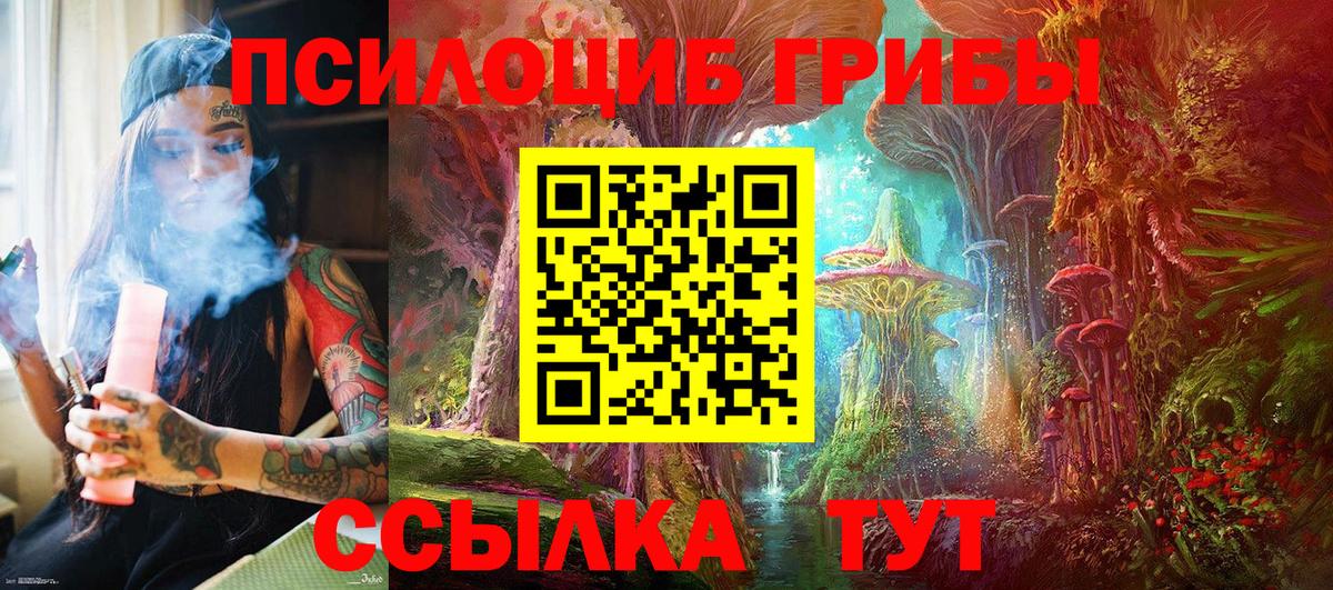 Псилоцибиновые грибы Cubensis  Вход с VPN  Галлюциногенные грибы мицелий  Новочебоксарск 