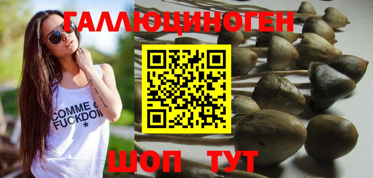 Псилоцибиновые грибы Psilocybine cubensis Новочебоксарск